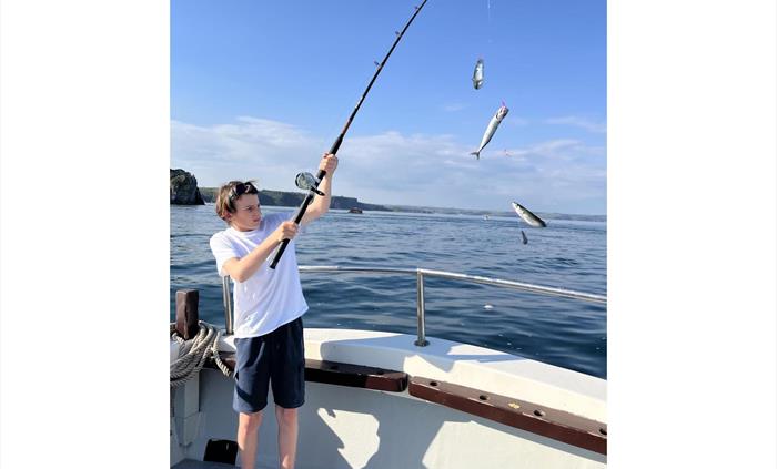 Reel it in